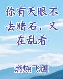 你有天眼不去赌石，又在乱看