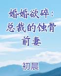 婚婚欲碎：总裁的蚀骨前妻