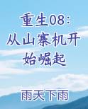 重生08：从山寨机开始崛起