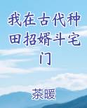 我在古代种田招婿斗宅门