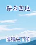 钻石宝地排行榜