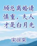 顾总离婚请慎重，夫人才是白月光推荐小说