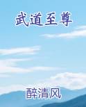 武道至尊