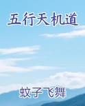 五行天机道小说影视剧