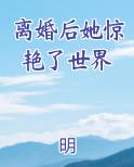 离婚后她惊艳了世界小说全集