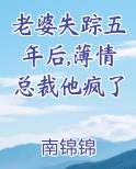 老婆失踪五年后,薄情总裁他疯了