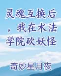 灵魂互换后，我在术法学院砍妖怪原著小说