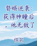赘婿逆袭：获得神瞳后，他无敌了