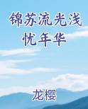 锦苏流光浅忧年华
