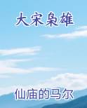 大宋枭雄