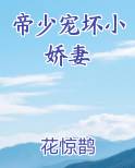 帝少宠坏小娇妻