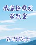 我靠捡钱发家致富原著小说