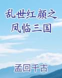 乱世红颜之凤临三国