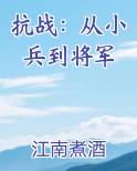 抗战：从小兵到将军