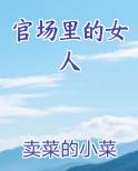 官场里的女人电子书
