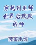 穿越到巫师世界后默默成神