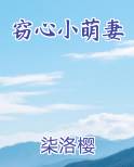 窃心小萌妻