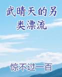 武晴天的另类漂流