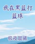 我在黑篮打篮球小说下载