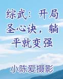 综武：开局圣心诀，躺平就变强
