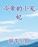 冷帝的小宠妃排行榜完结版