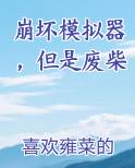 崩坏模拟器，但是废柴