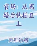 官场：从离婚后扶摇直上