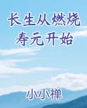 长生从燃烧寿元开始