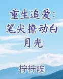 重生追爱：笔尖撩动白月光