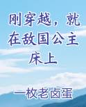 刚穿越，就在敌国公主床上