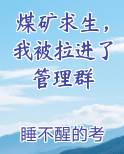 煤矿求生，我被拉进了管理群