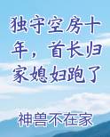 独守空房十年，首长归家媳妇跑了