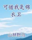 可惜我是锦衣卫