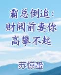 霸总倒追：财阀前妻你高攀不起小说短剧