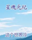 星魂元纪