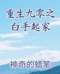 重生九零之白手起家