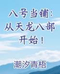 八号当铺：从天龙八部开始！