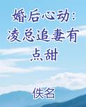 婚后心动：凌总追妻有点甜