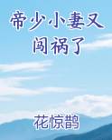 帝少小妻又闯祸了