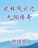 武林风云之九阳传奇