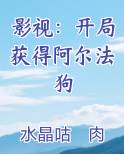 影视：开局获得阿尔法狗