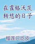 在霍格沃茨转悠的日子