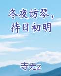 冬夜访琴，待日初明