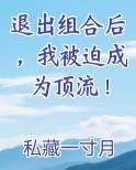 退出组合后，我被迫成为顶流！