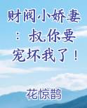 财阀小娇妻：叔,你要宠坏我了！