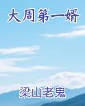大周第一婿