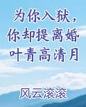 为你入狱，你却提离婚叶青高清月