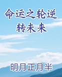 命运之轮逆转未来小说影视剧