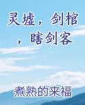 灵墟，剑棺，瞎剑客
