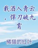 载酒入青云，悍刀破九霄免费阅读笔趣阁